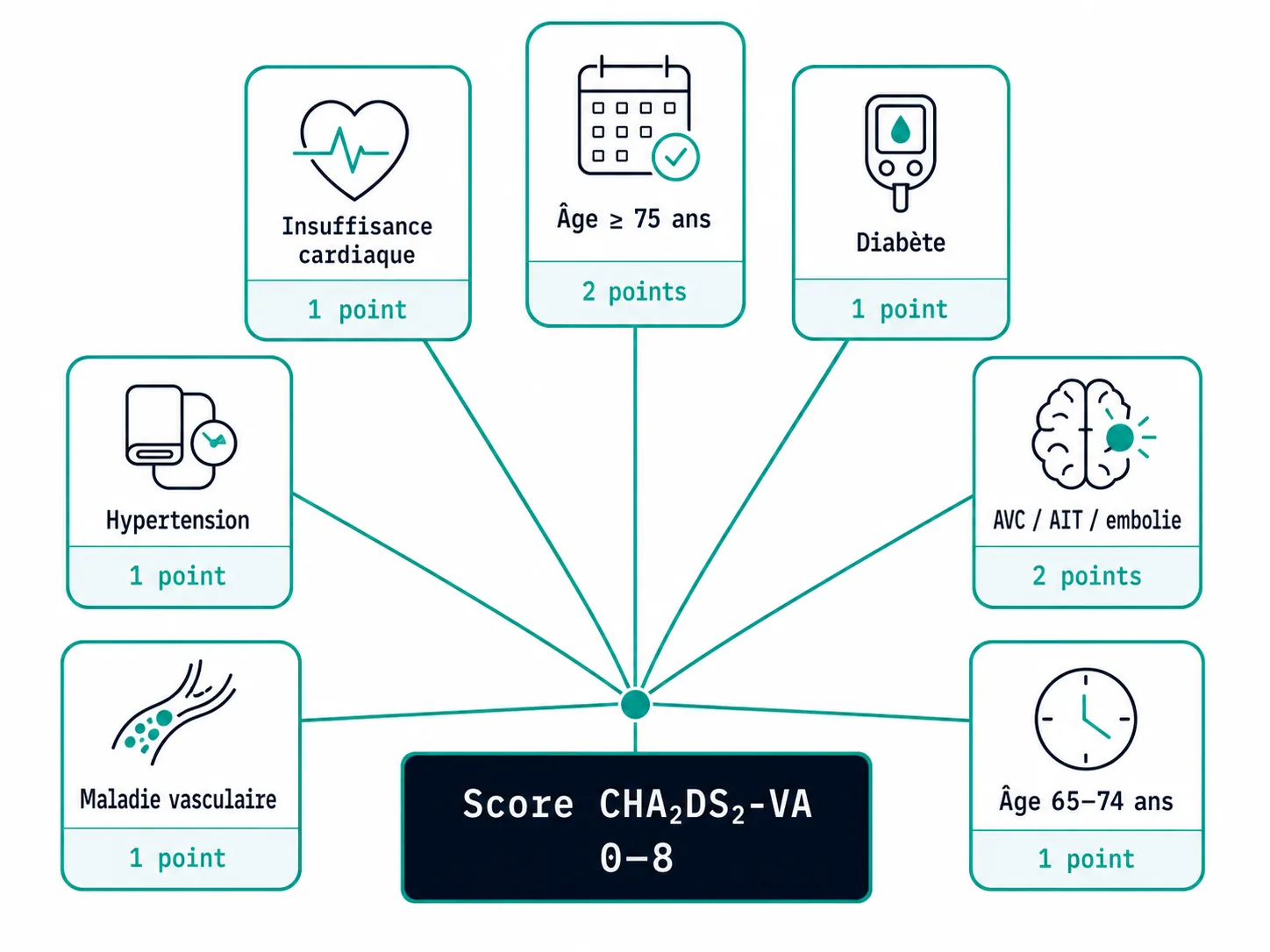 Schéma des sept composantes pondérées du score CHA2DS2-VA