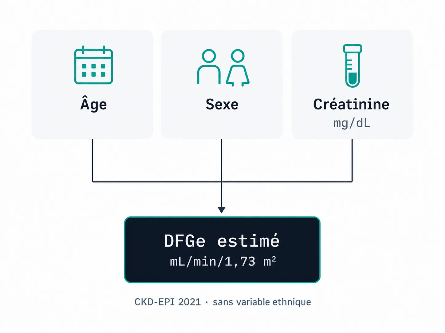 Schéma des données utilisées par l'équation CKD-EPI 2021 pour estimer le débit de filtration glomérulaire