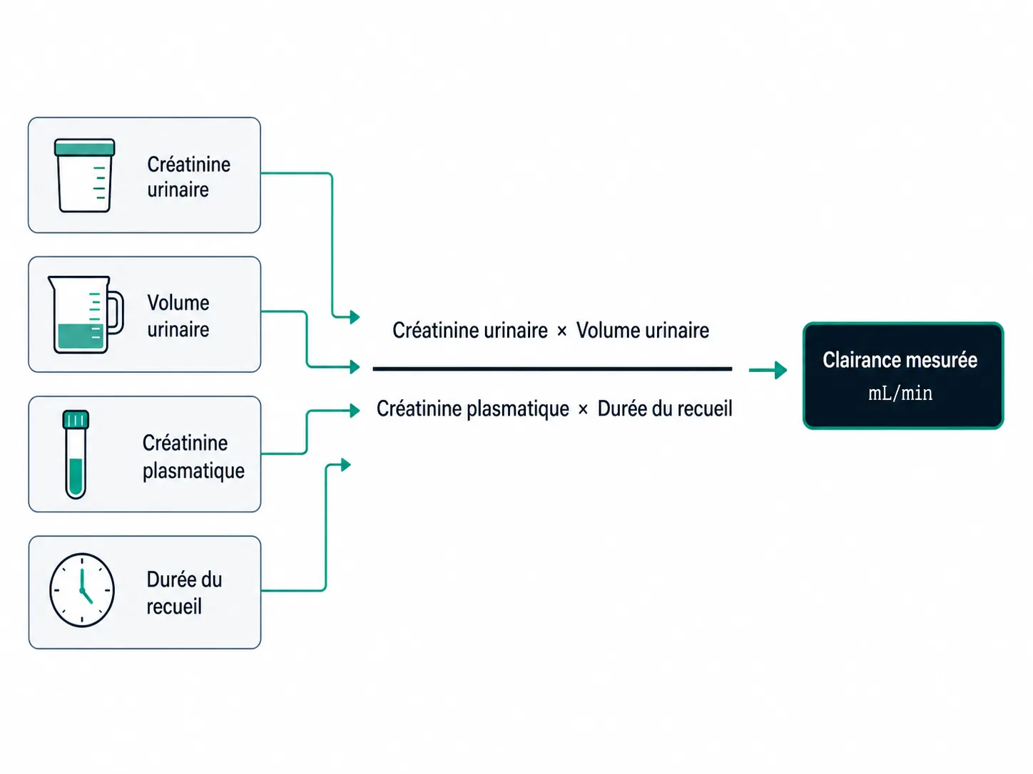 Schéma de la clairance mesurée à partir de la créatinine urinaire, du volume, de la créatinine plasmatique et de la durée