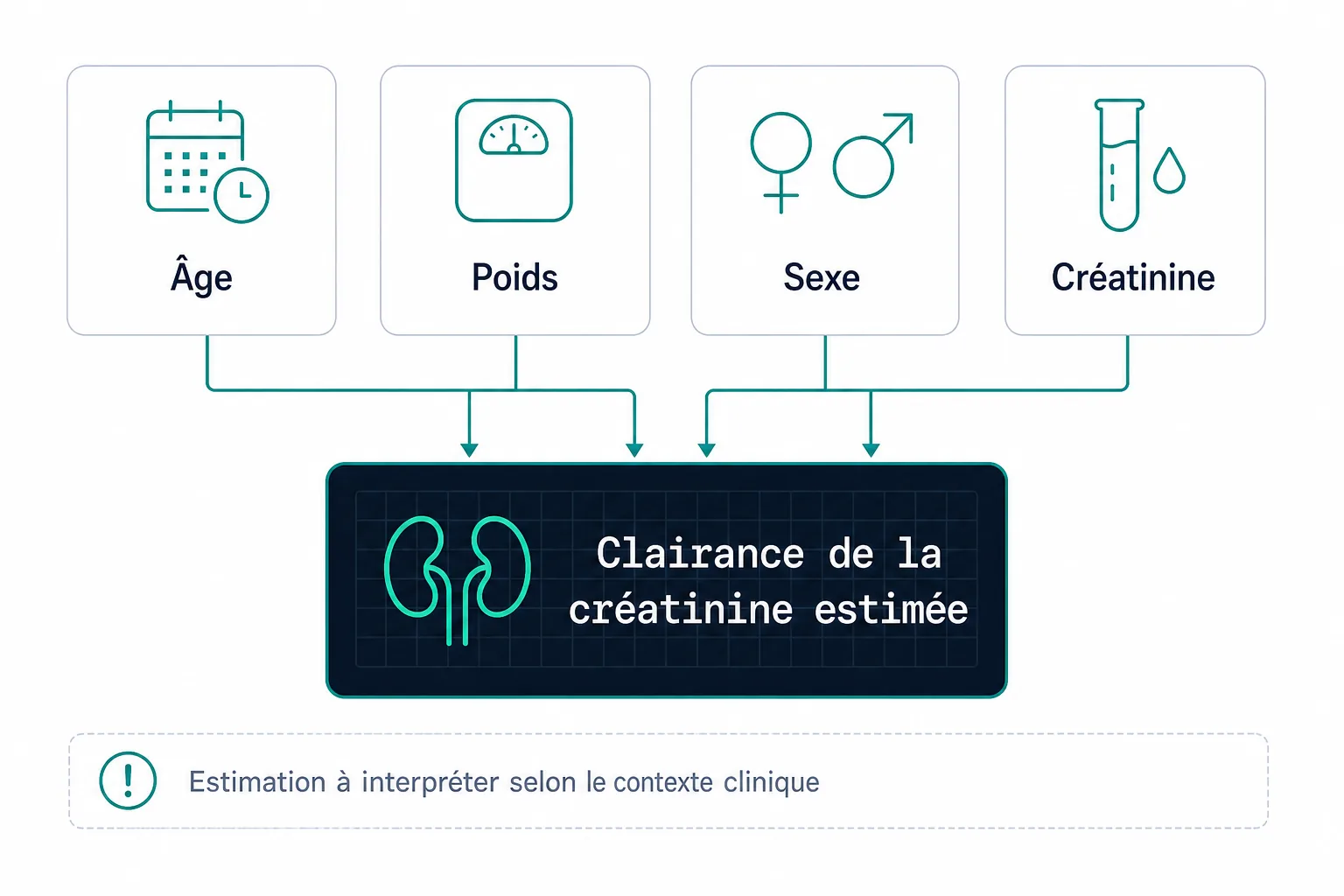 Schéma des quatre données utilisées par la formule de Cockcroft-Gault : âge, poids, sexe et créatinine