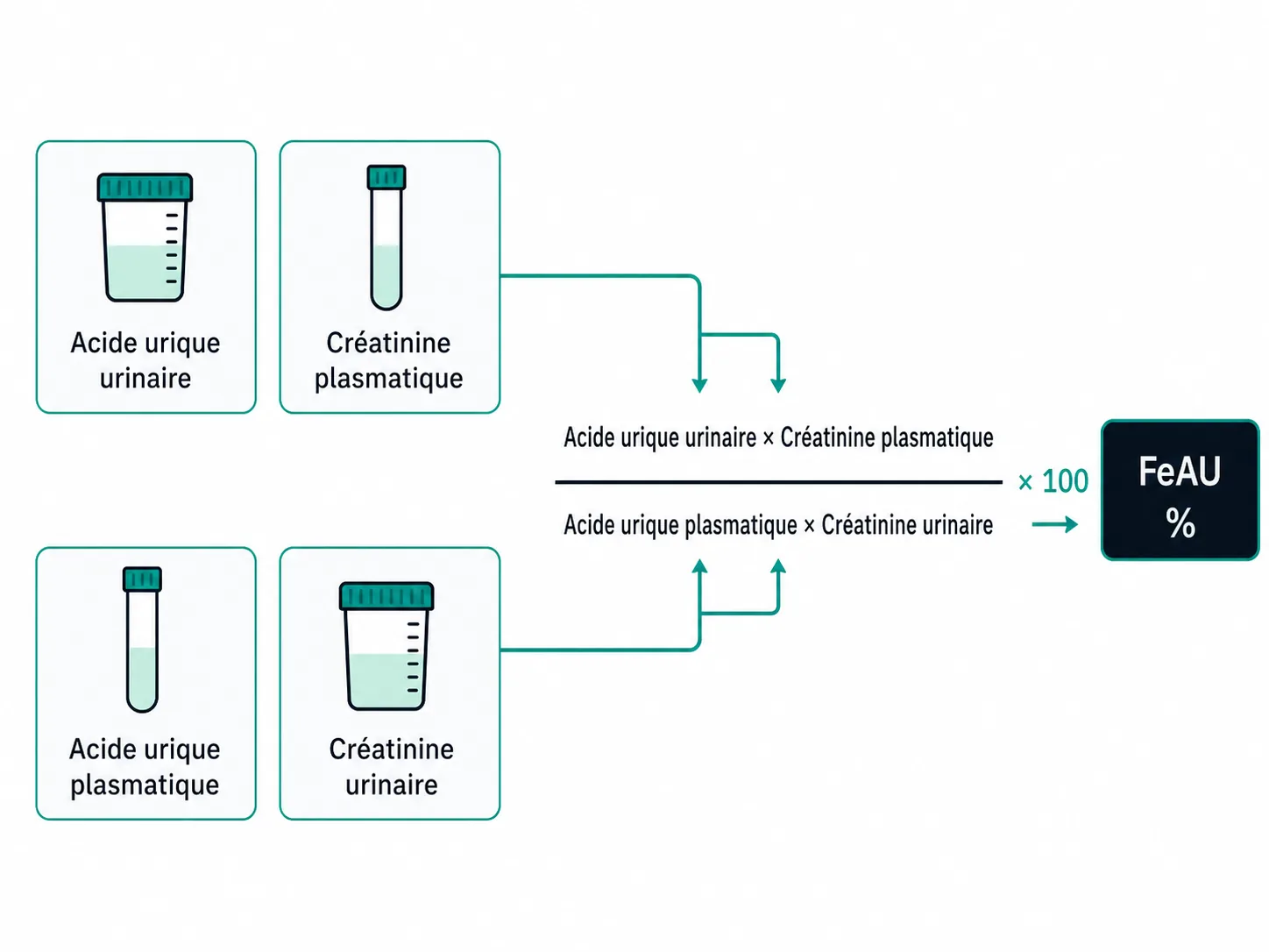 Schéma de la formule FeAU utilisant acide urique et créatinine urinaires et plasmatiques