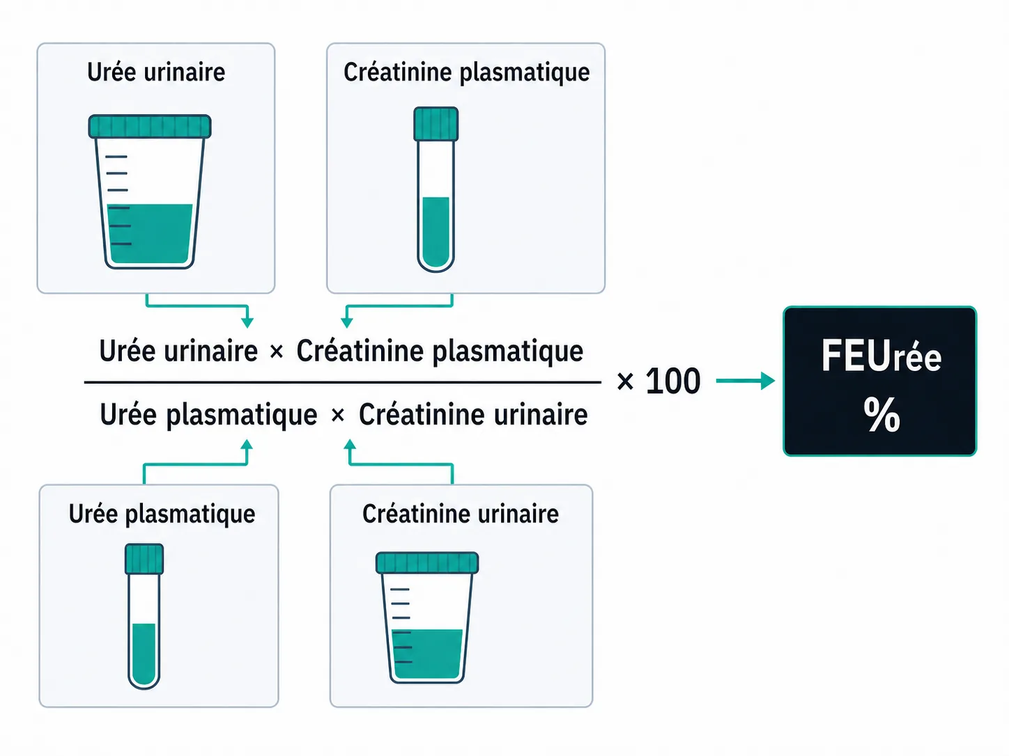 Schéma de la formule FEUrée utilisant urée et créatinine urinaires et plasmatiques