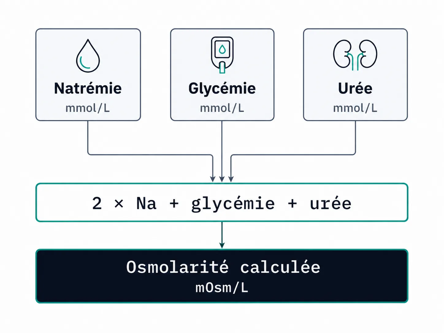 Schéma du calcul de l'osmolarité à partir de la natrémie, de la glycémie et de l'urée