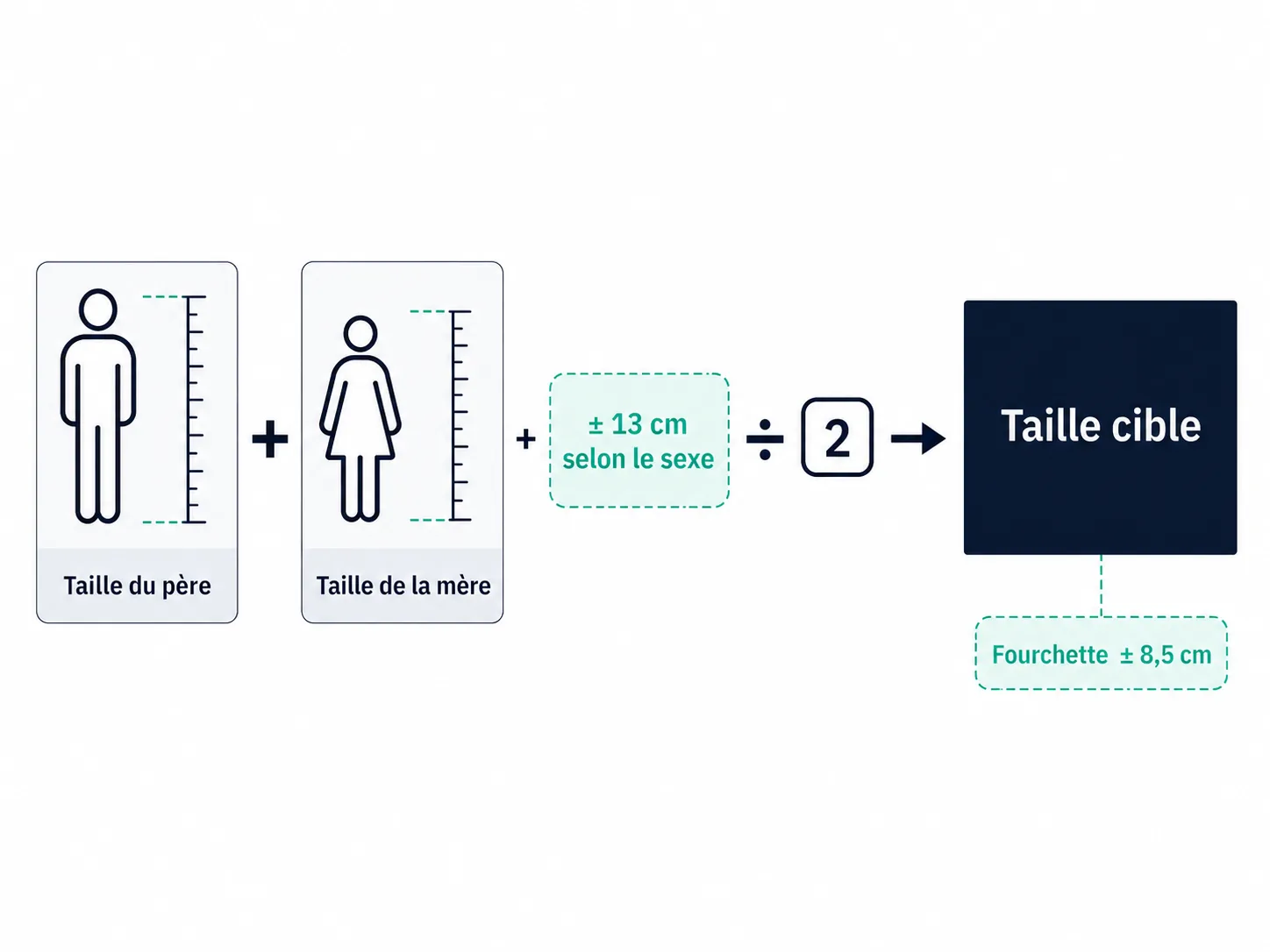 Schéma de la taille cible calculée à partir des tailles du père et de la mère, corrigées selon le sexe