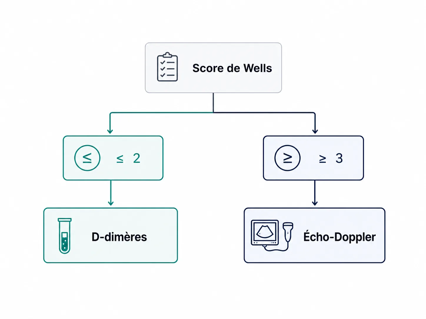Arbre décisionnel du score de Wells TVP reliant les seuils aux D-dimères ou à l'écho-Doppler